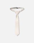 Neck Tie White And Sand Check