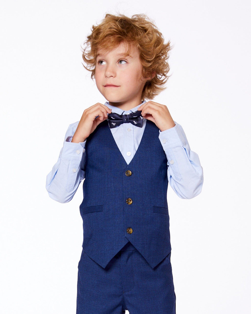 Bow Tie Blue Dino Print