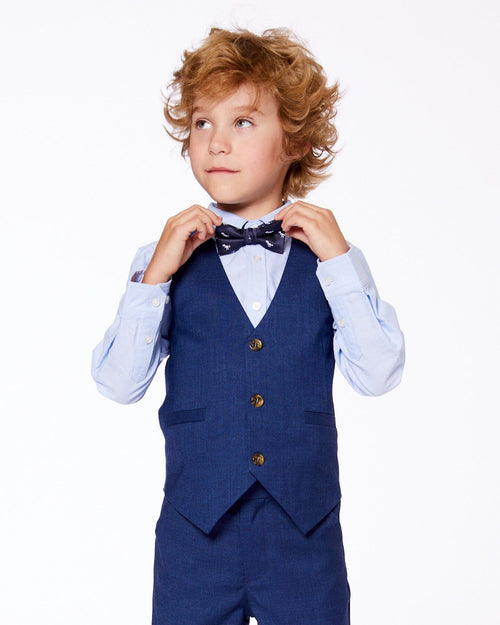 Bow Tie Blue Dino Print